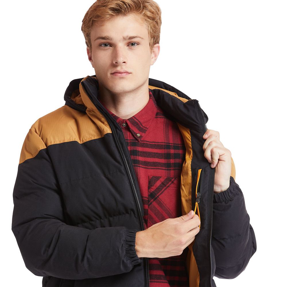 Chaquetas Timberland Argentina Hombre - Welch Mountain Warm Invierno - Marrones/Negras - SFLQDO-014